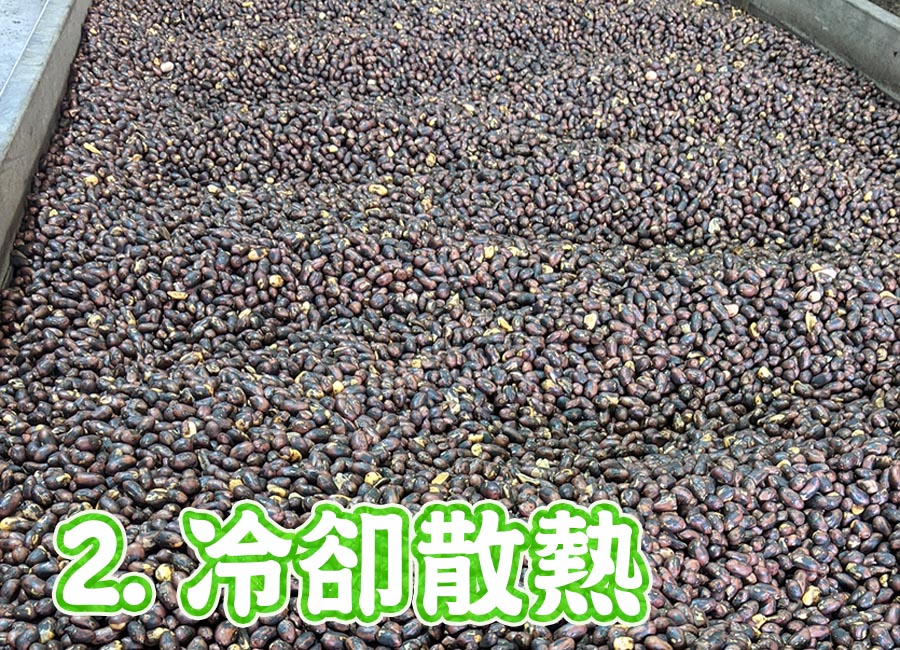 純花生油